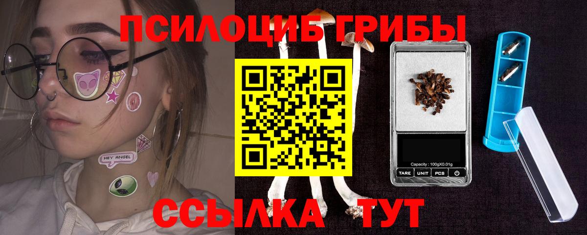 даркнет сайт  Вход с VPN  Миасс  Галлюциногенные грибы прущие грибы 